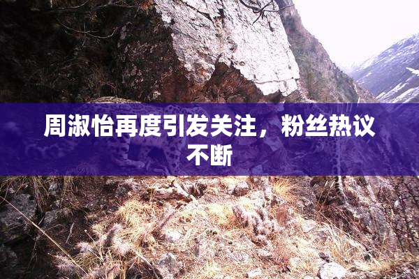 周淑怡再度引发关注，粉丝热议不断