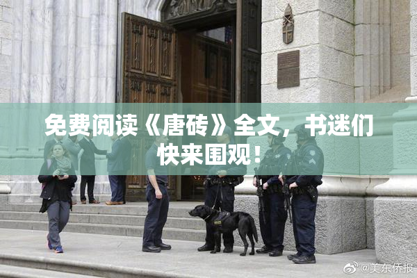 免费阅读《唐砖》全文，书迷们快来围观！