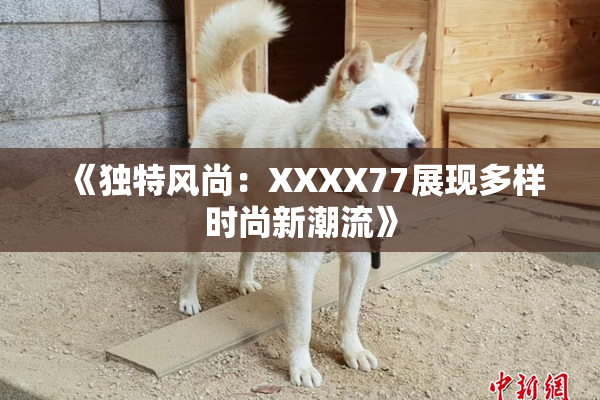 《独特风尚：XXXX77展现多样时尚新潮流》
