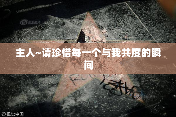 主人~请珍惜每一个与我共度的瞬间