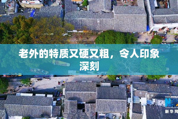 老外的特质又硬又粗，令人印象深刻