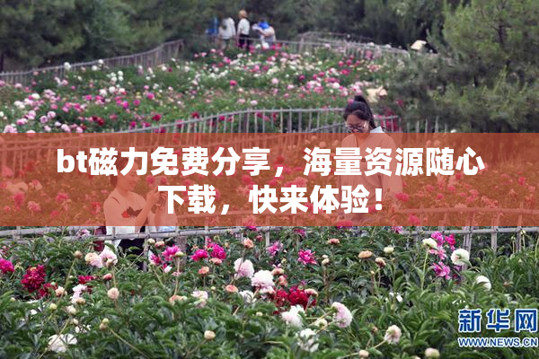 bt磁力免费分享，海量资源随心下载，快来体验！