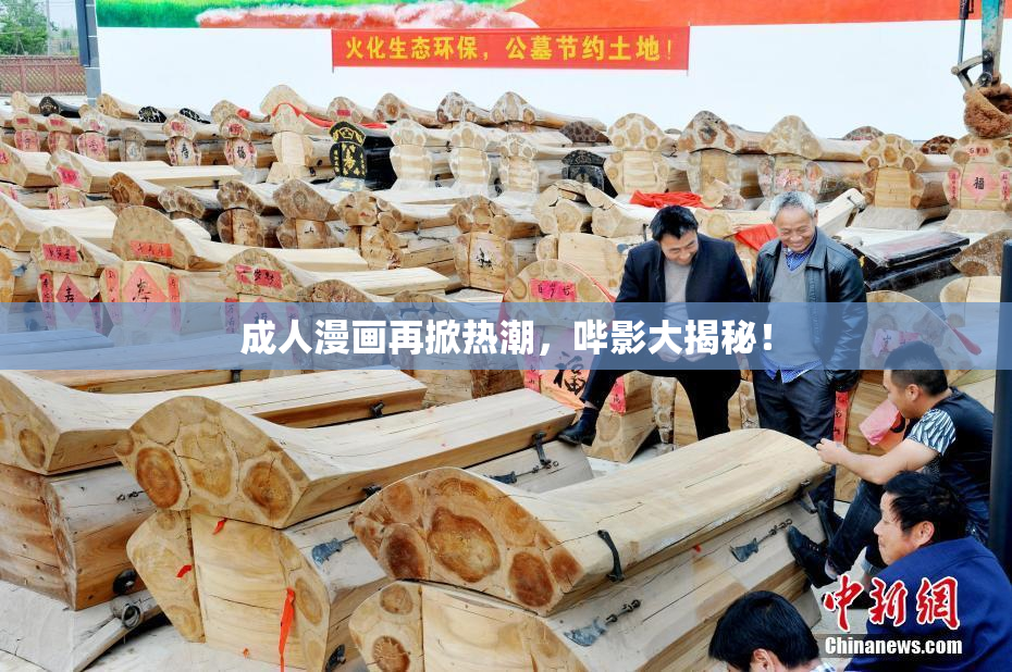 成人漫画再掀热潮，哔影大揭秘！