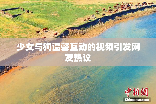 少女与狗温馨互动的视频引发网友热议