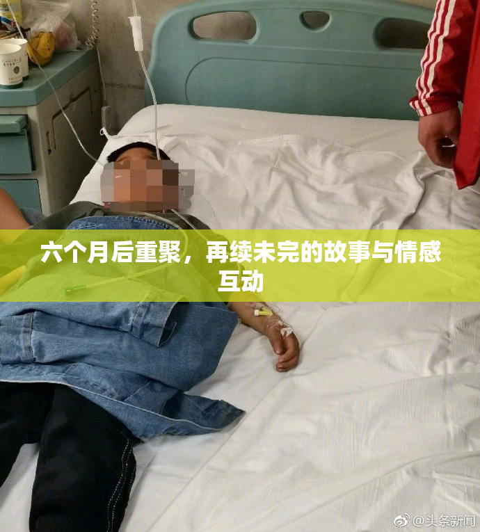 六个月后重聚，再续未完的故事与情感互动