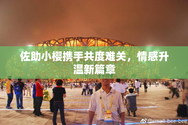 佐助小樱携手共度难关，情感升温新篇章