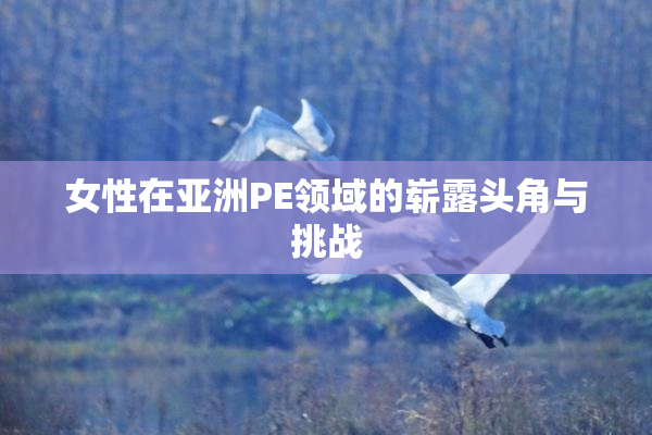 女性在亚洲PE领域的崭露头角与挑战