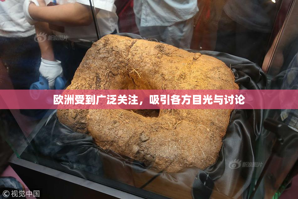 欧洲受到广泛关注，吸引各方目光与讨论