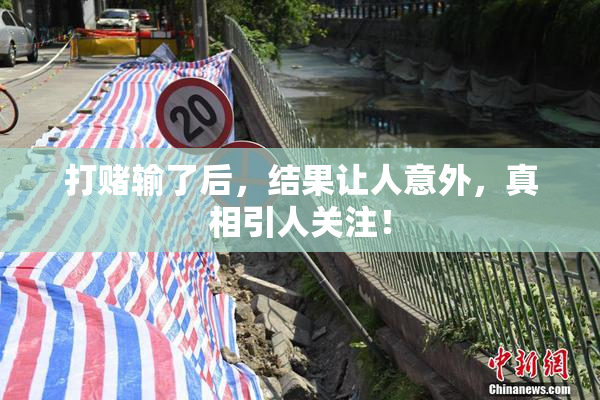 打赌输了后，结果让人意外，真相引人关注！