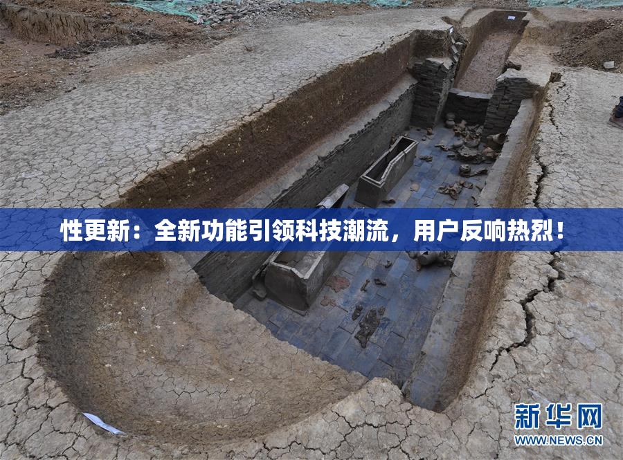 性更新：全新功能引领科技潮流，用户反响热烈！