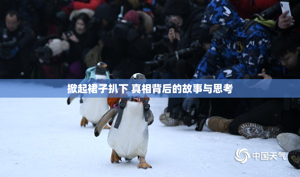 掀起裙子扒下 真相背后的故事与思考
