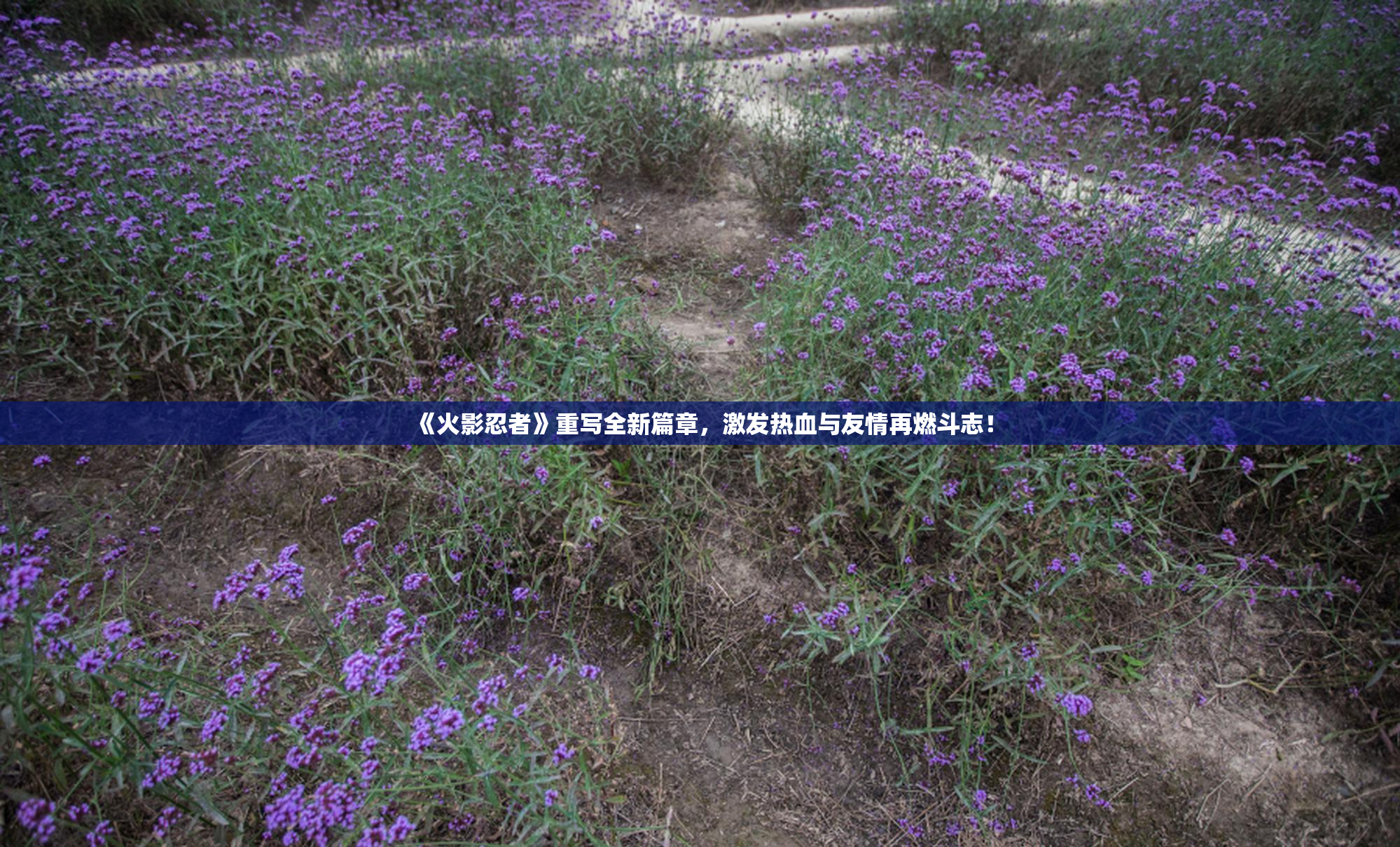 《火影忍者》重写全新篇章，激发热血与友情再燃斗志！