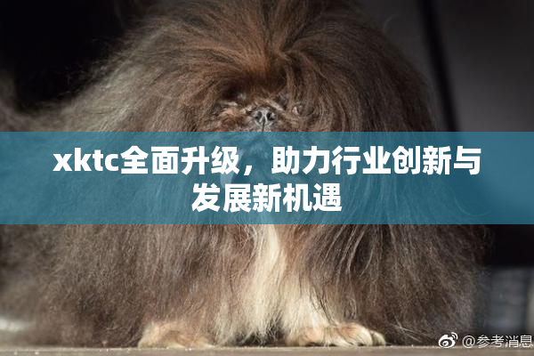 xktc全面升级，助力行业创新与发展新机遇