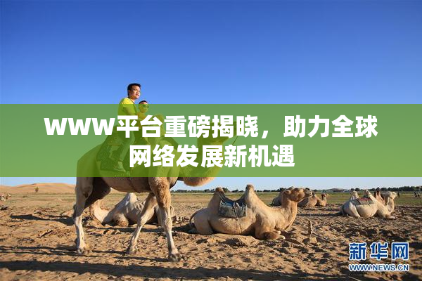 WWW平台重磅揭晓，助力全球网络发展新机遇