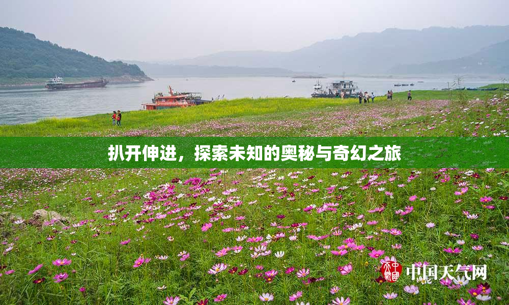 扒开伸进，探索未知的奥秘与奇幻之旅