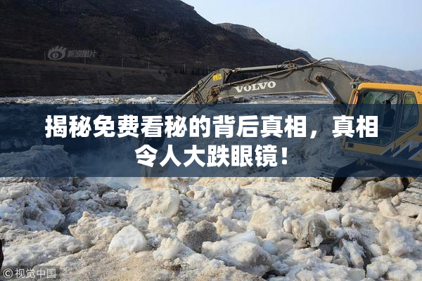 揭秘免费看秘的背后真相，真相令人大跌眼镜！