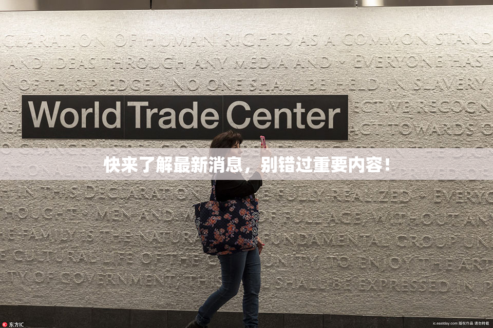 快来了解最新消息，别错过重要内容！