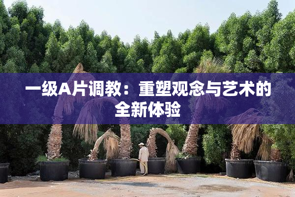 一级A片调教：重塑观念与艺术的全新体验