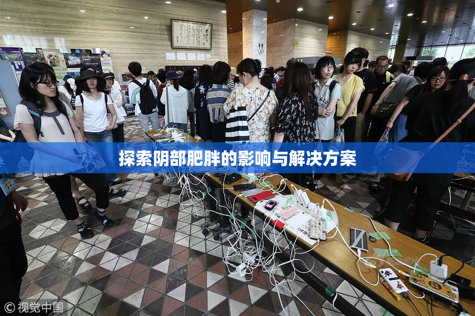 探索阴部肥胖的影响与解决方案