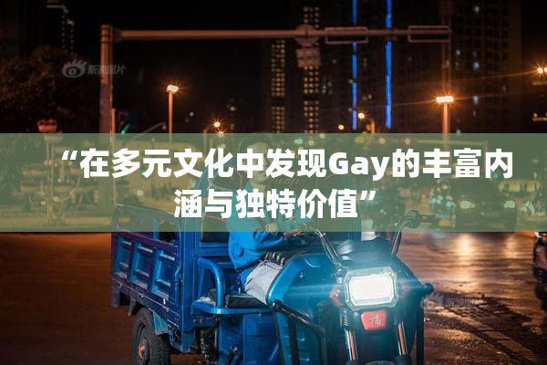 “在多元文化中发现Gay的丰富内涵与独特价值”