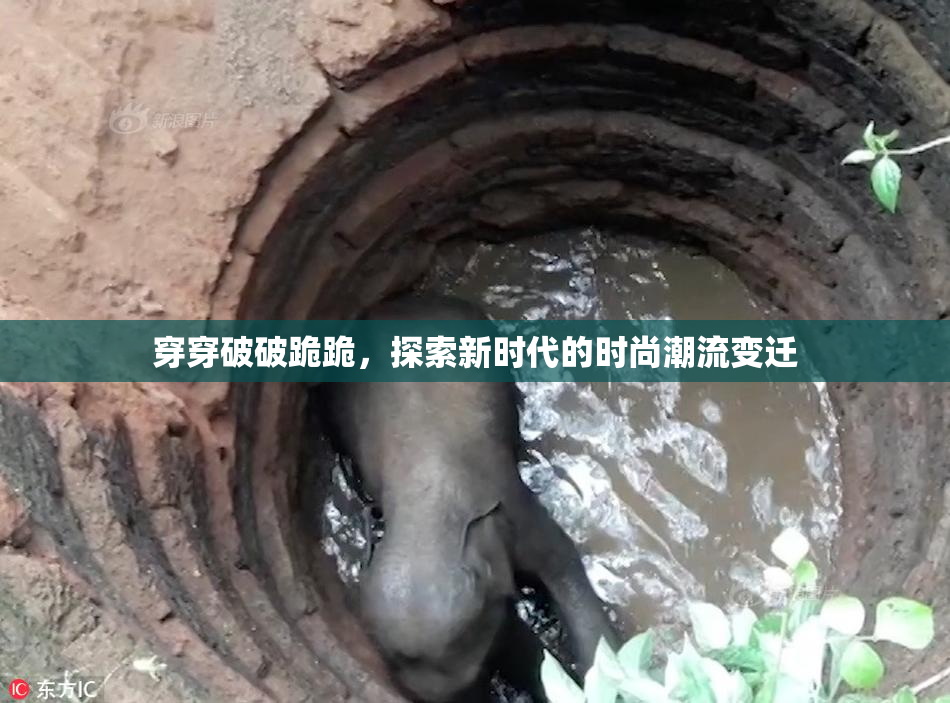 穿穿破破跪跪，探索新时代的时尚潮流变迁