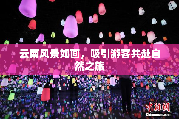 云南风景如画，吸引游客共赴自然之旅