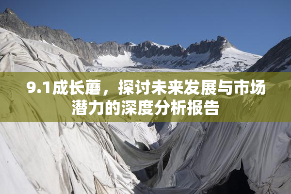9.1成长蘑，探讨未来发展与市场潜力的深度分析报告