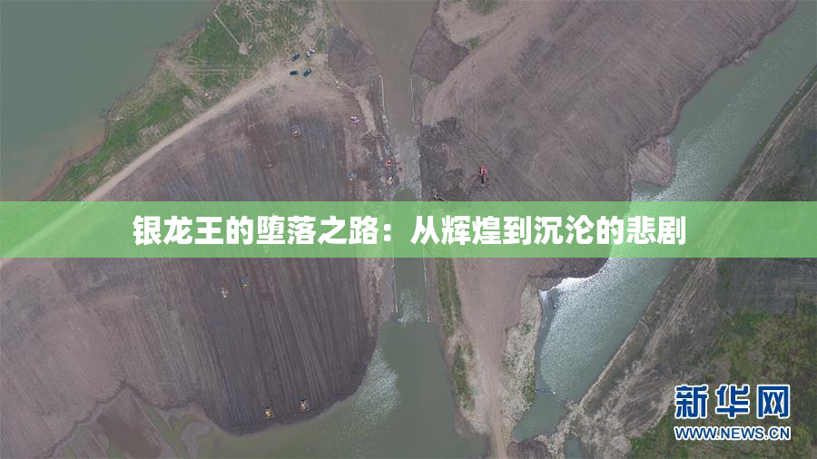 银龙王的堕落之路：从辉煌到沉沦的悲剧