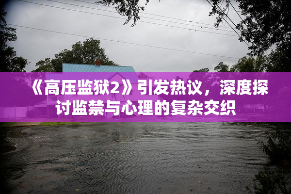 《高压监狱2》引发热议，深度探讨监禁与心理的复杂交织