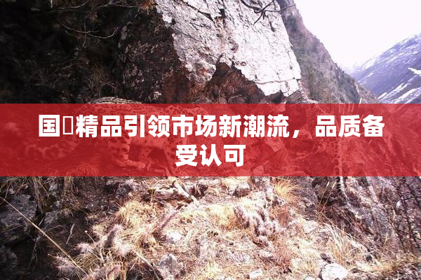 国產精品引领市场新潮流，品质备受认可