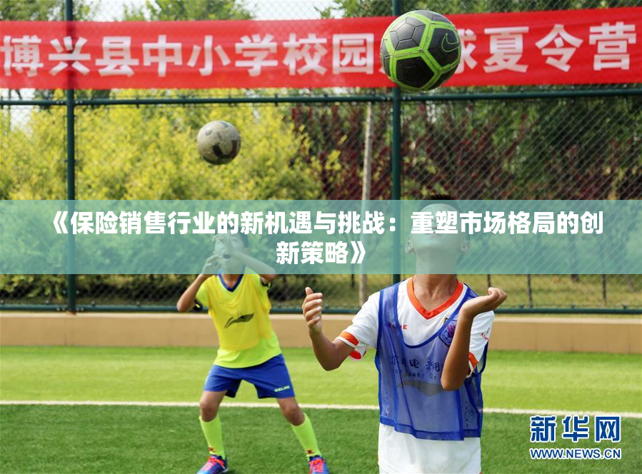 《保险销售行业的新机遇与挑战：重塑市场格局的创新策略》