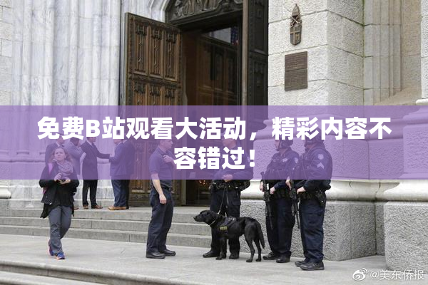 免费B站观看大活动，精彩内容不容错过！