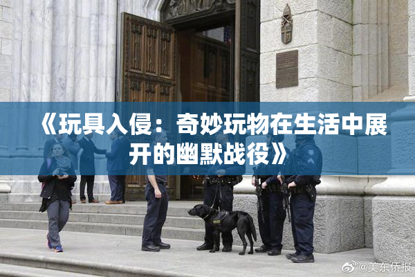《玩具入侵：奇妙玩物在生活中展开的幽默战役》