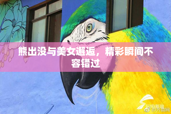 熊出没与美女邂逅，精彩瞬间不容错过
