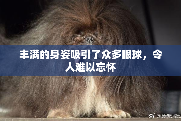 丰满的身姿吸引了众多眼球，令人难以忘怀