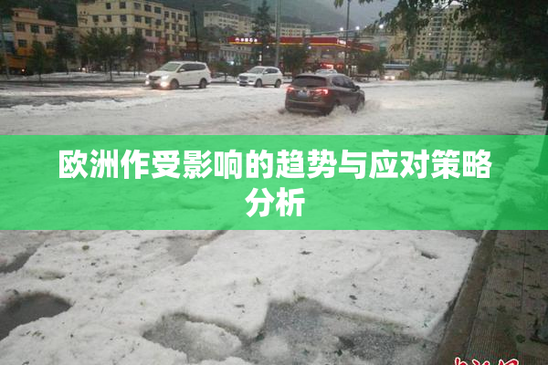 欧洲作受影响的趋势与应对策略分析