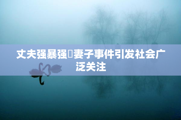 丈夫强暴强姦妻子事件引发社会广泛关注