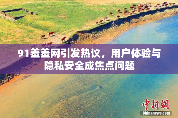 91羞羞网引发热议，用户体验与隐私安全成焦点问题