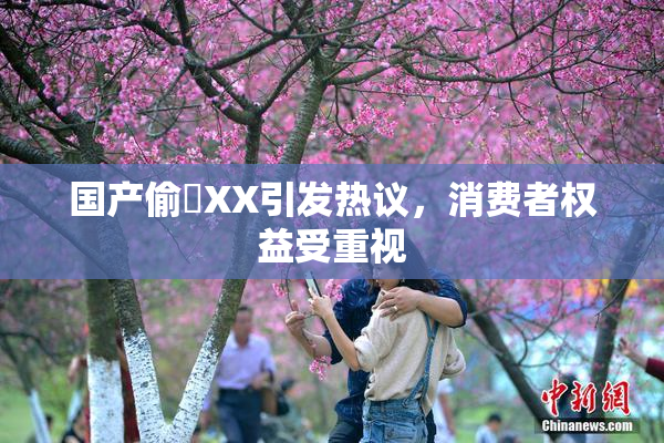 国产偷抇XX引发热议，消费者权益受重视