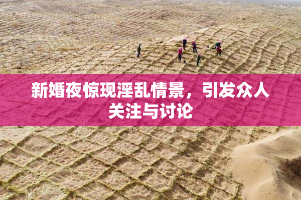 新婚夜惊现淫乱情景，引发众人关注与讨论