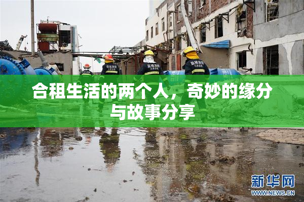 合租生活的两个人，奇妙的缘分与故事分享
