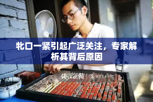 牝口一紧引起广泛关注，专家解析其背后原因