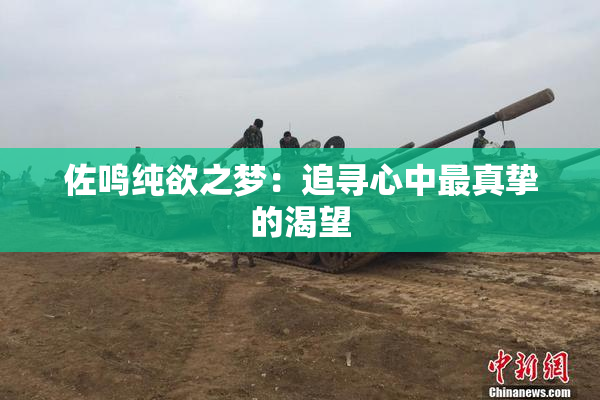 佐鸣纯欲之梦：追寻心中最真挚的渴望