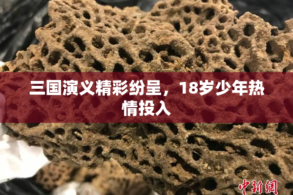 三国演义精彩纷呈，18岁少年热情投入