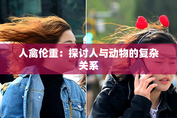 人禽伦重：探讨人与动物的复杂关系