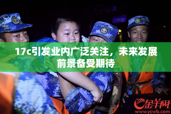 17c引发业内广泛关注，未来发展前景备受期待