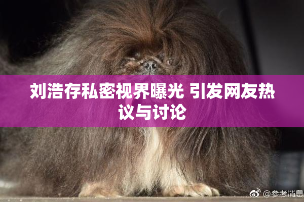 刘浩存私密视界曝光 引发网友热议与讨论