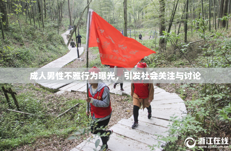 成人男性不雅行为曝光，引发社会关注与讨论