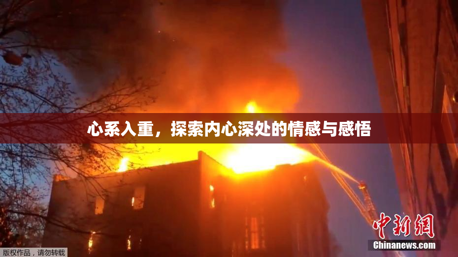 心系入重，探索内心深处的情感与感悟