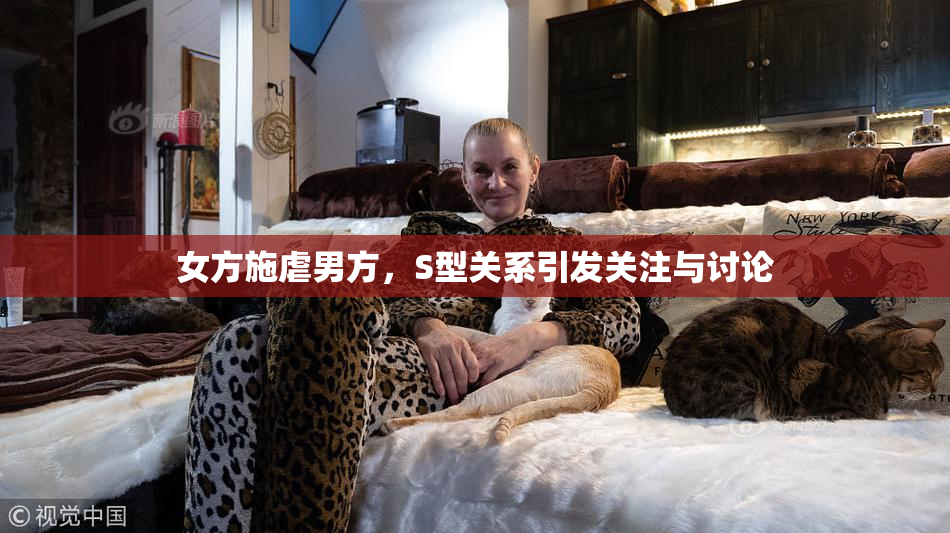 女方施虐男方，S型关系引发关注与讨论